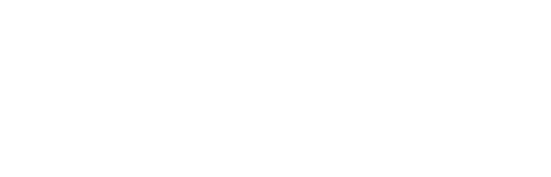 Logo-light.png